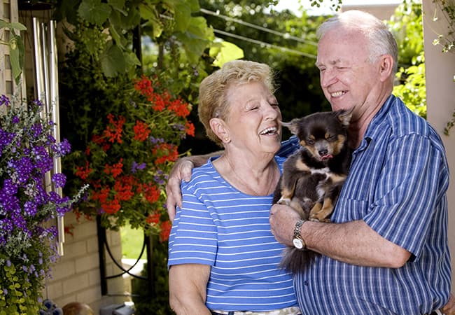 Happy senior couple hugging and holding puppy
